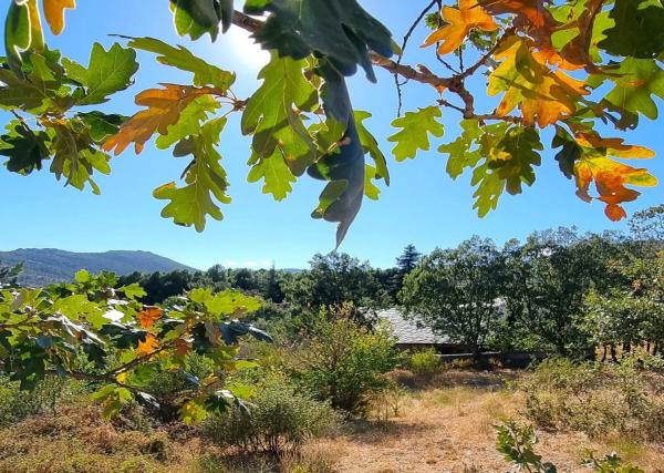 Terreno en carretera de Valdemanco, 33