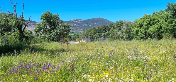 Terreno en carretera de Valdemanco, 33