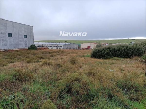 Terreno en calle Plomo