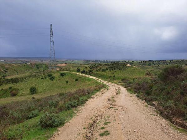 Terreno en Polígono 8. Parcela 183. s/n