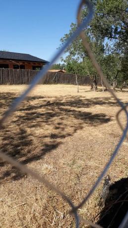 Terreno en calle el Tercio de la laguna, 40
