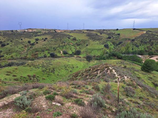 Terreno en Polígono 8. Parcela 183. s/n