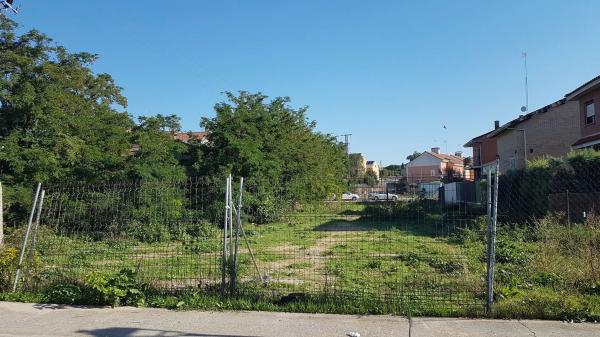 Terreno en olivar s/n