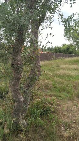 Terreno en calle el Tercio de la laguna, 40