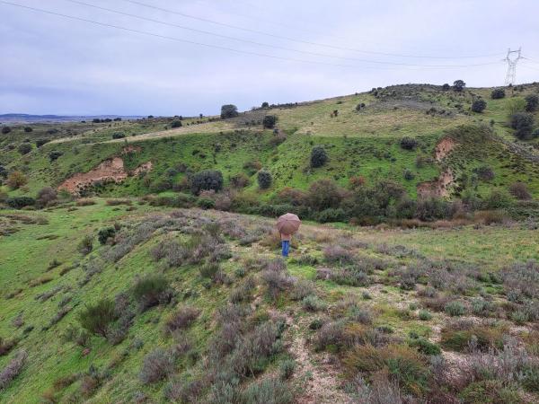 Terreno en Polígono 8. Parcela 183. s/n