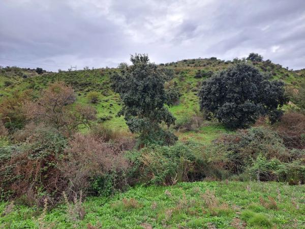 Terreno en Polígono 8. Parcela 183. s/n