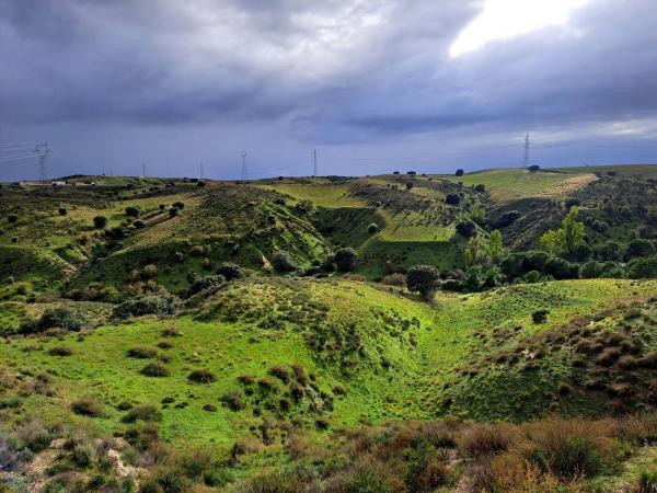 Terreno en Polígono 8. Parcela 183. s/n