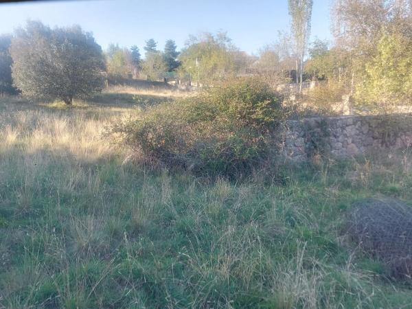 Terreno en Venturada