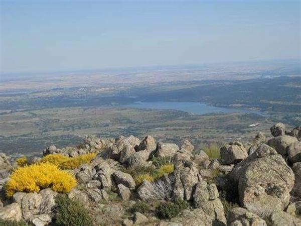 Terreno en calle Colodreros, 8