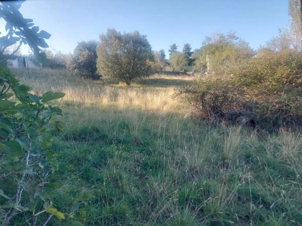 Terreno en Venturada