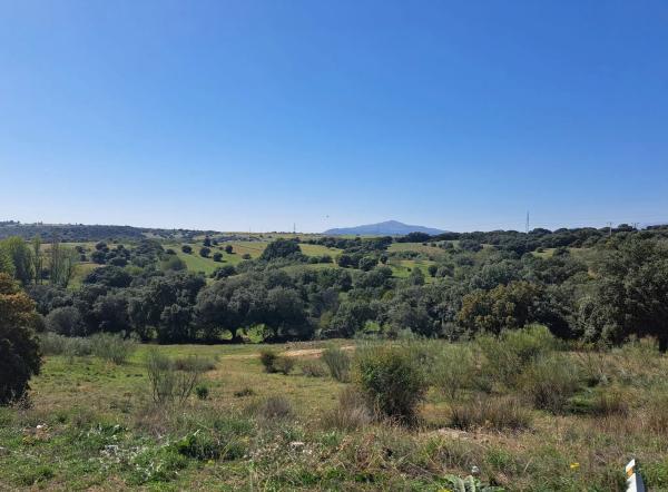 Terreno en calle Colodreros, 8