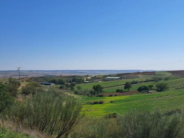 Terreno en calle Colodreros, 8