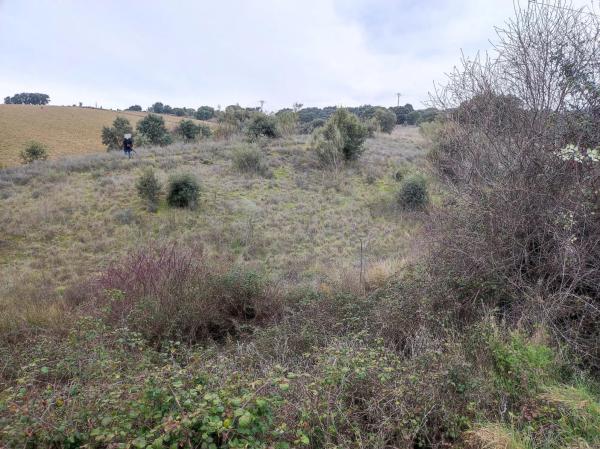 Terreno en M-104 s/n