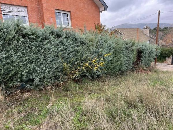 Terreno en calle Antonio Bienvenida, 113
