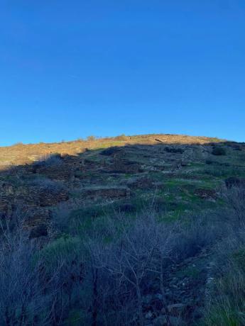 Terreno en calle Real, 17