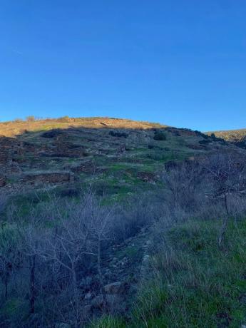 Terreno en calle Real, 17