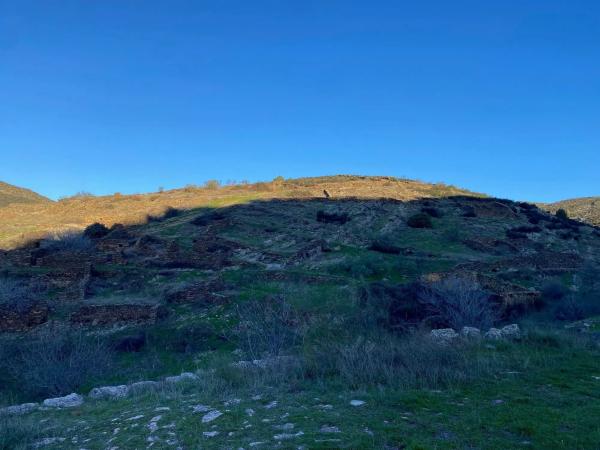 Terreno en calle Real, 17