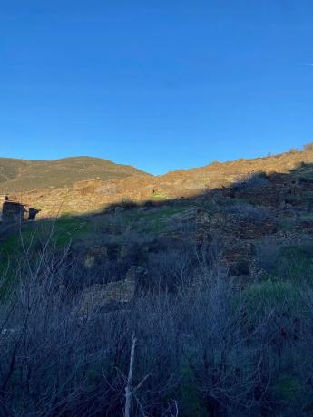 Terreno en calle Real, 17