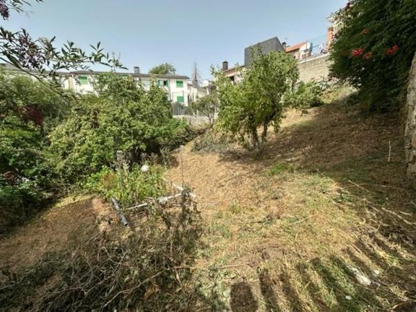 Terreno en travesía del Gato, 7