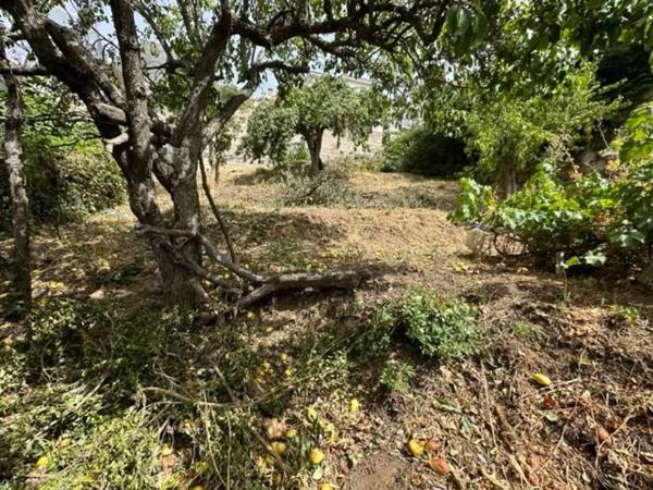 Terreno en travesía del Gato, 7
