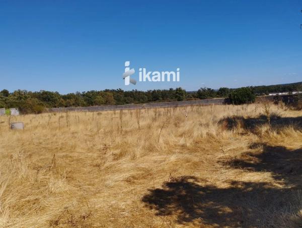 Terreno en Polígono Poligono 6