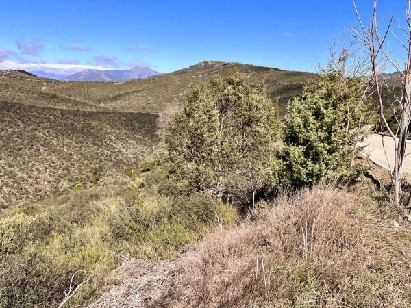 Terreno en calle arroyo Tres Cantos s/n Sn