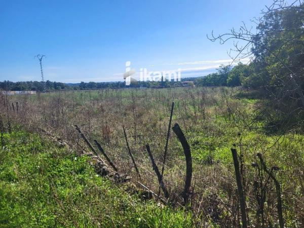 Terreno en Polígono Poligono 6