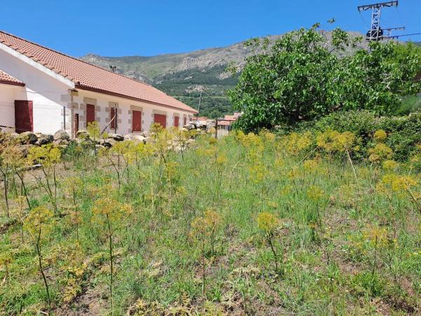 Terreno en calle de las Malezas, 8