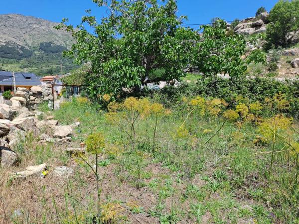 Terreno en calle de las Malezas, 8