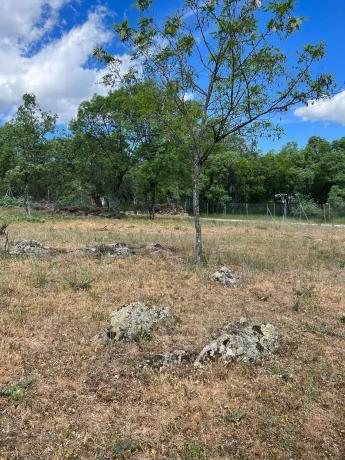 Terreno en calle de la Antigua Cañada Real, km 10