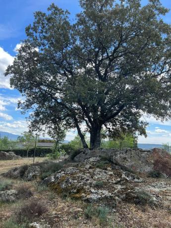 Terreno en calle de la Antigua Cañada Real, km 10