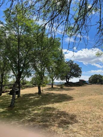 Terreno en calle de la Antigua Cañada Real, km 10