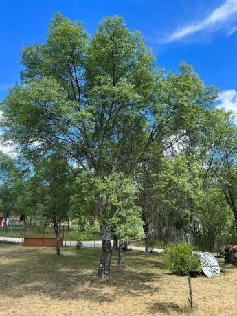 Terreno en calle de la Antigua Cañada Real, km 10