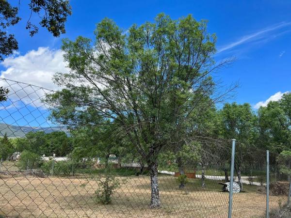 Terreno en calle de la Antigua Cañada Real, km 10