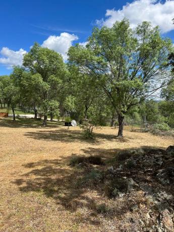 Terreno en calle de la Antigua Cañada Real, km 10