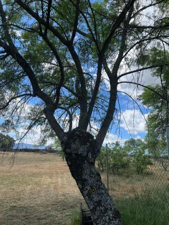 Terreno en calle de la Antigua Cañada Real, km 10