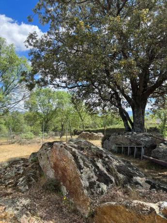 Terreno en calle de la Antigua Cañada Real, km 10