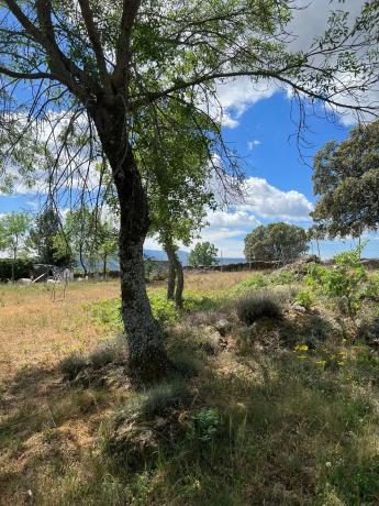 Terreno en calle de la Antigua Cañada Real, km 10