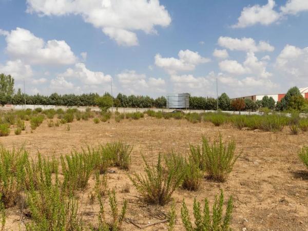 Terreno en pedro duque, 33