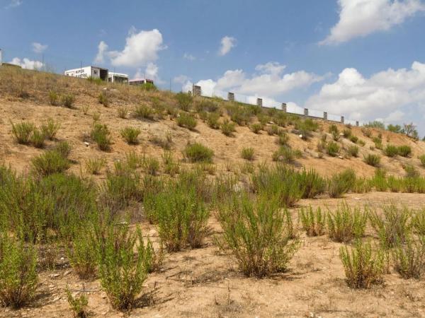 Terreno en pedro duque, 33