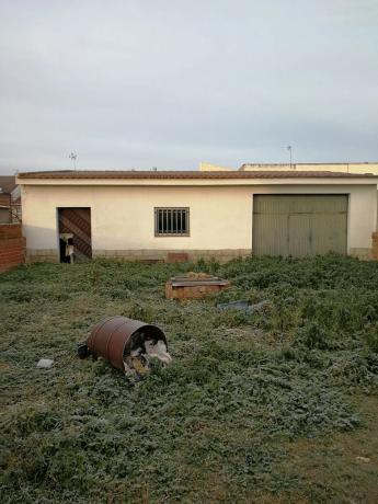 Terreno en calle Torrelaguna, 7