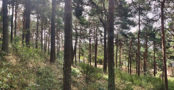 Terreno en calle de la Cumbre, 3