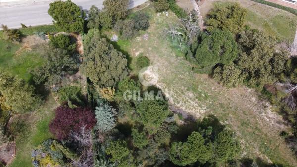 Terreno en paseo del Embajador