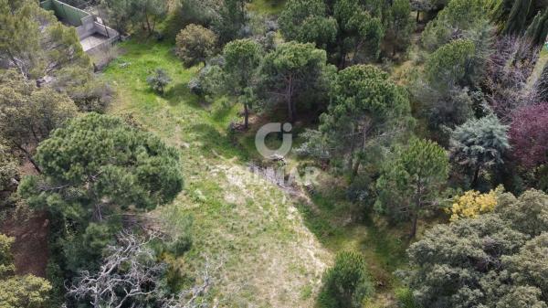 Terreno en paseo del Embajador