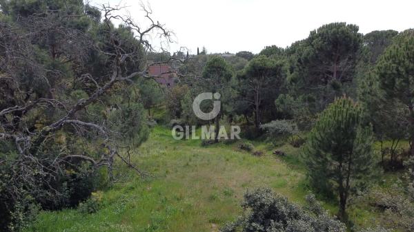 Terreno en paseo del Embajador