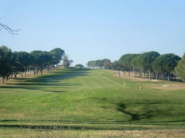 Terreno en paseo del Embajador