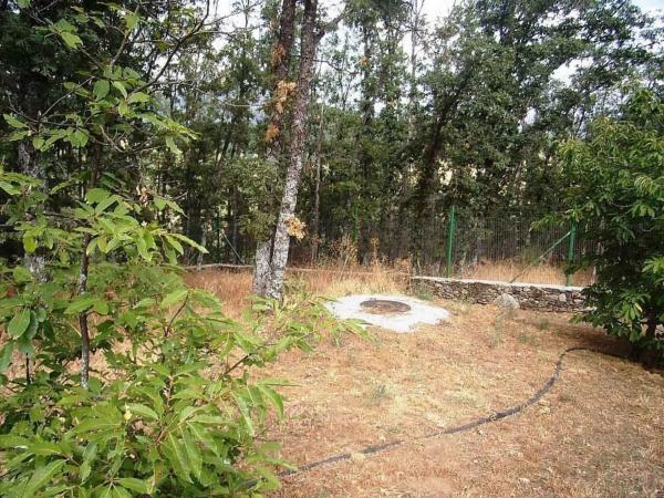 Terreno en plaza Nicasio González Moren, 11