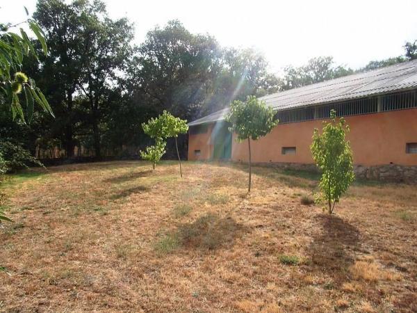 Terreno en plaza Nicasio González Moren, 11