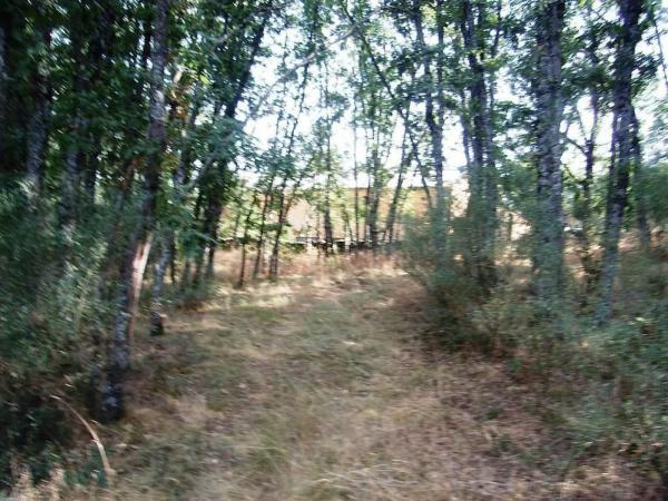 Terreno en plaza Nicasio González Moren, 11