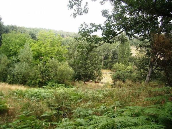 Terreno en plaza Nicasio González Moren, 11